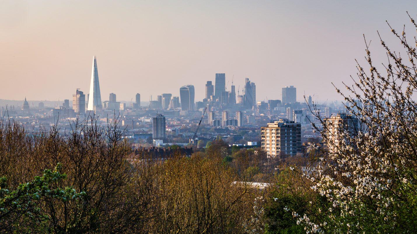 Area image of Borough of Lewisham