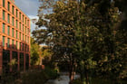 Sunday Mills, SW18