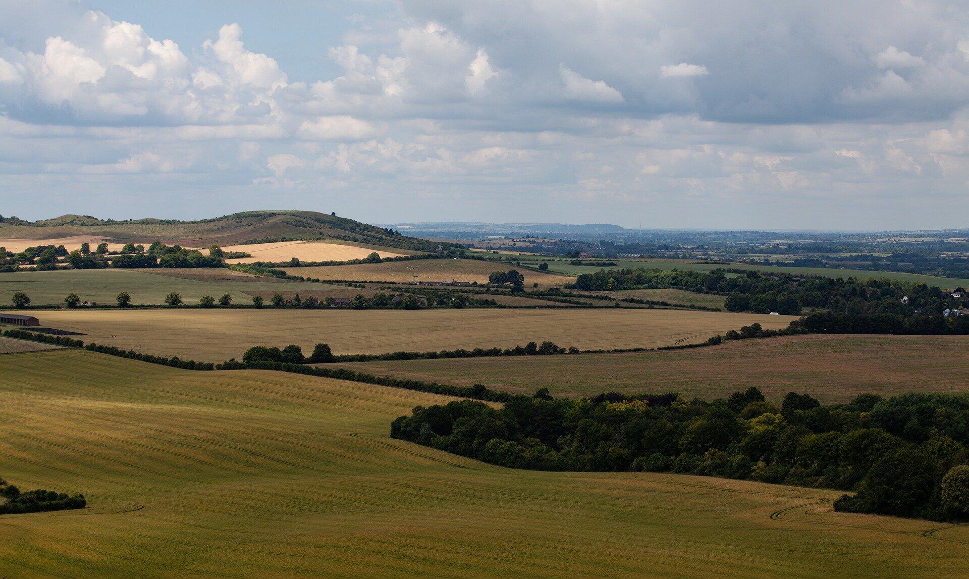 Area image of Bedfordshire