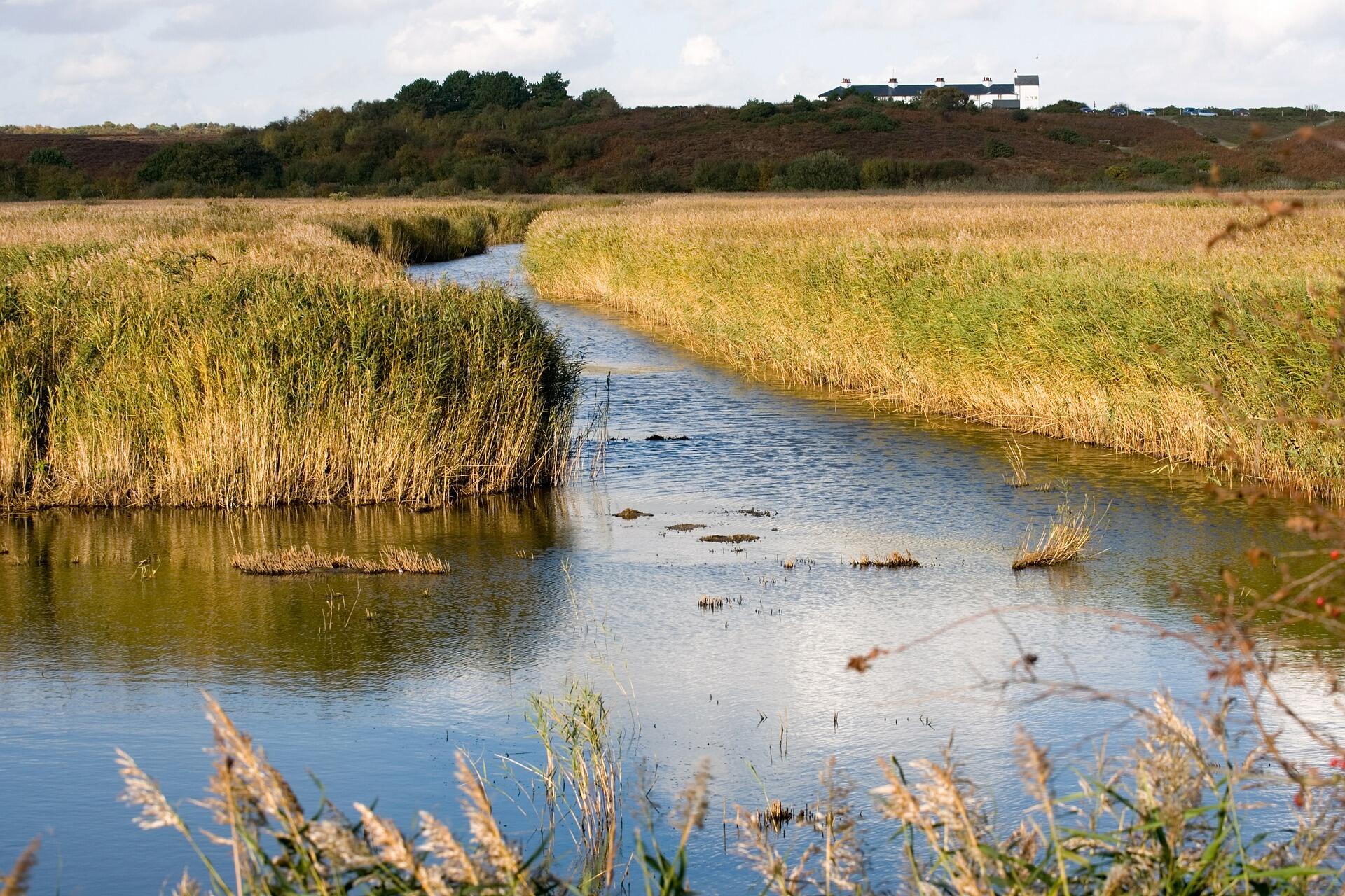 Area image of Suffolk