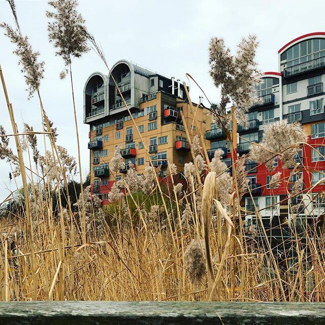 Development image of Greenwich Millennium Village, SE10