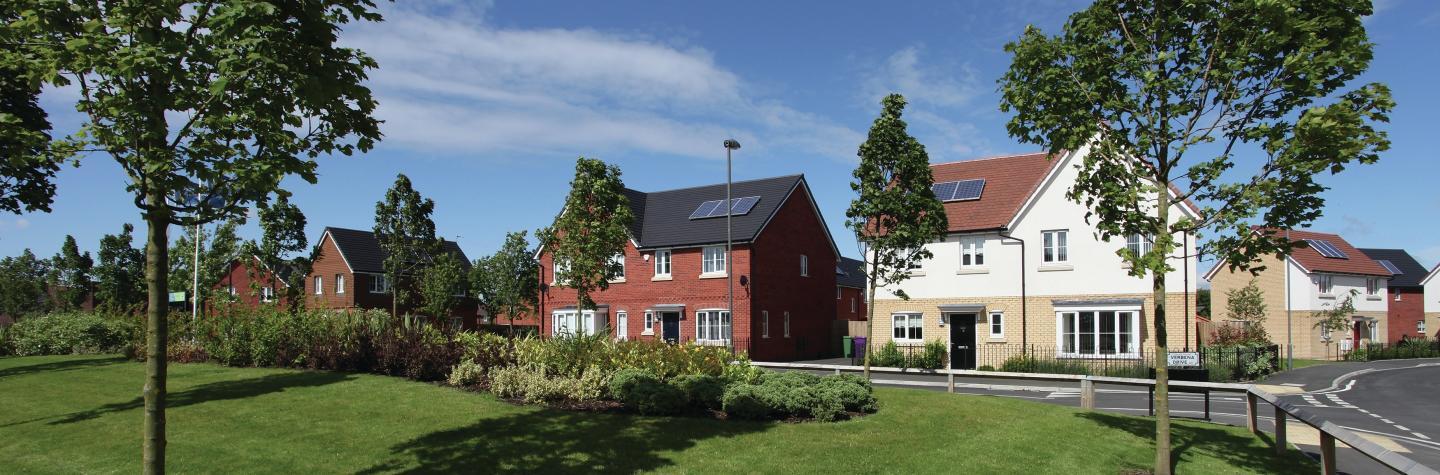 Development image of Norris Green, L11