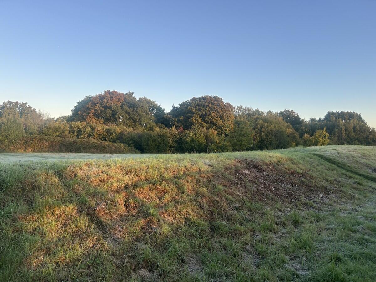 Review image for review b95468d9-e0c1-4707-b032-82748c921cd5