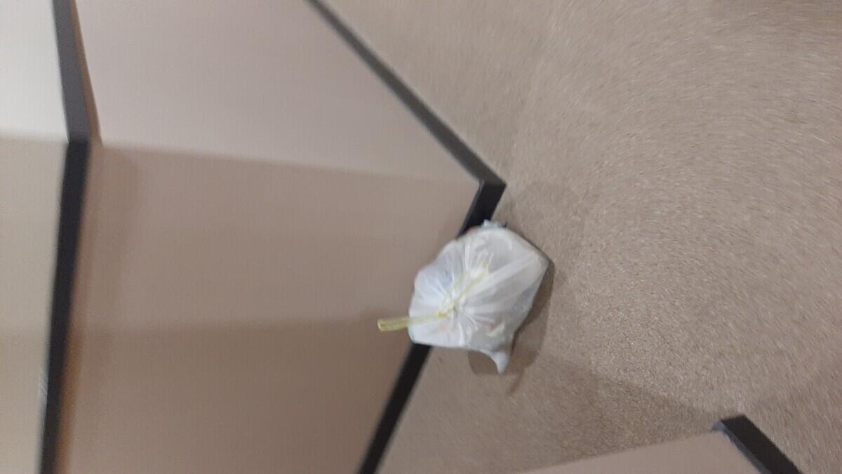 Review image for review d7aa4f4b-e79e-4d82-a473-d4f48acc508d