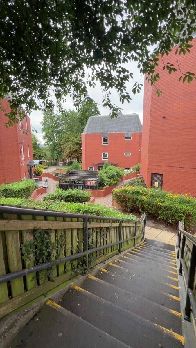 Review image for review 2dc1bee4-7af6-40c1-8702-55335871a05d