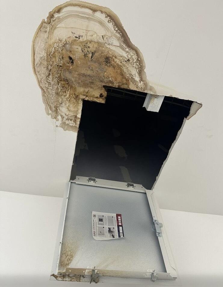 Review image for review 20130e16-21aa-456c-b129-55fc9f742dc1