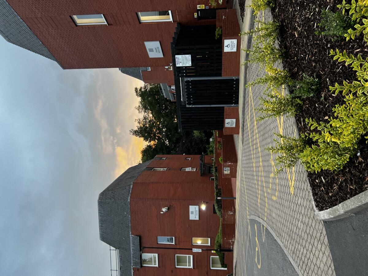 Review image for review 2dc1bee4-7af6-40c1-8702-55335871a05d