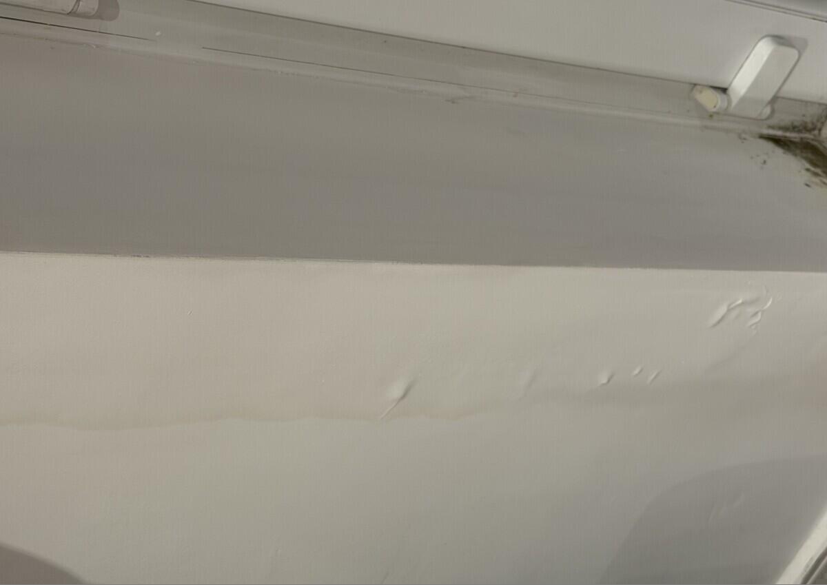 Review image for review 8bb25736-f366-4160-9c51-1ab600e7fe60