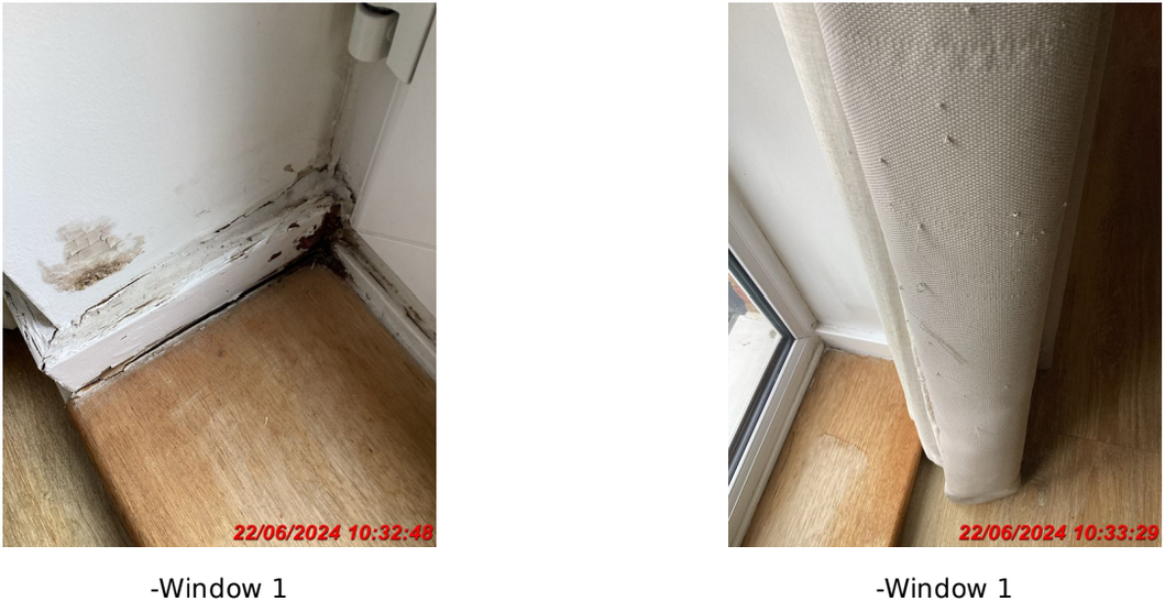 Review image for review dd7dcd69-ae40-4bc7-ada1-b828d170def7