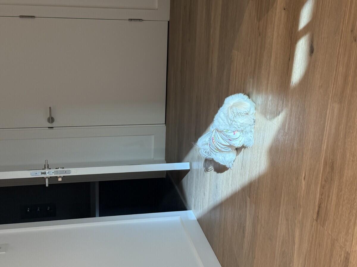 Review image for review 60fb3e18-69f1-4bcd-99ff-8ea9571d5bb9