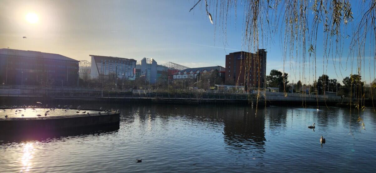 Review image for review 183a45bc-7594-4fd7-9d2e-84df61b4ef81