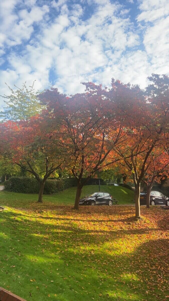 Review image for review 2dc1bee4-7af6-40c1-8702-55335871a05d