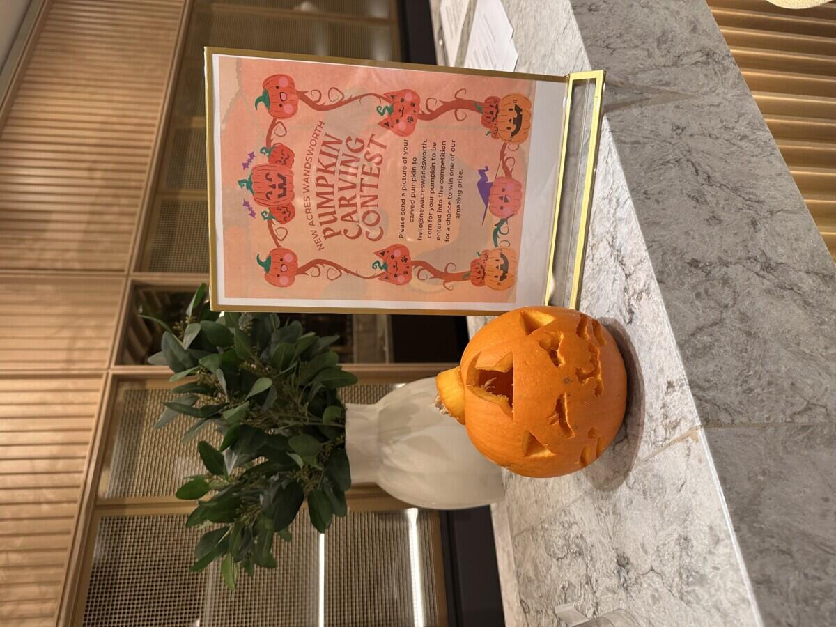 Review image for review a973ca15-9ba1-4717-ba35-8bc78553cb12