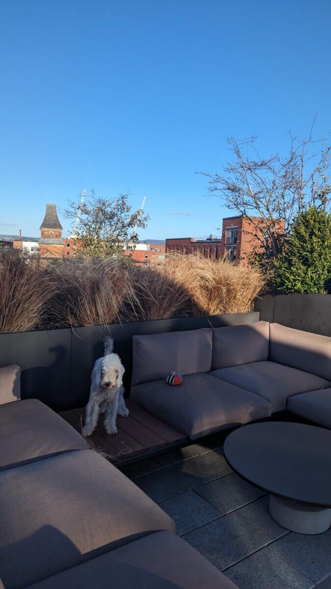 Review image for review 2d469eed-36e8-4b36-94f5-e3bfb519b614