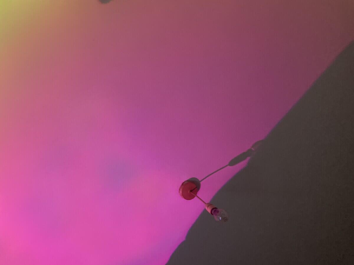 Review image for review 281dc727-2731-4609-84b8-0995fab07262