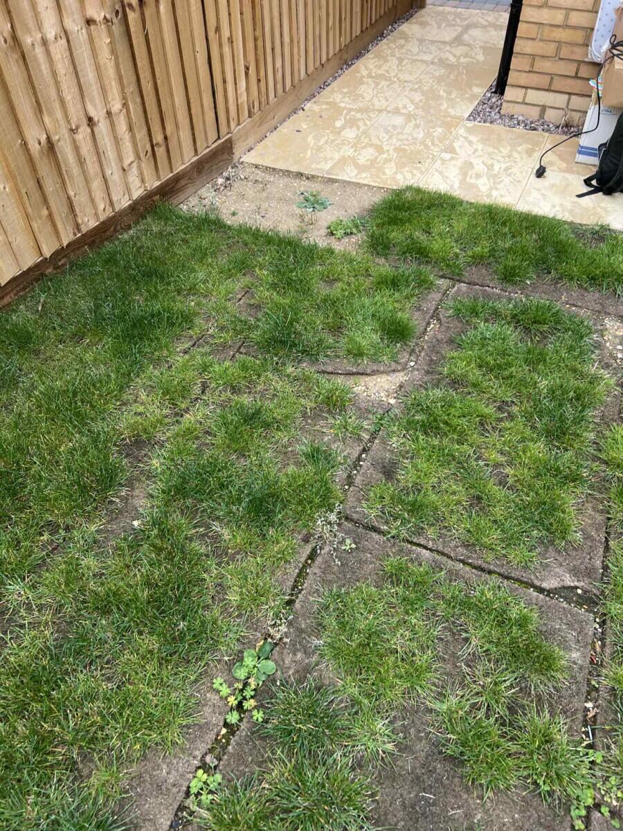 Review image for review 86ddb40a-4547-406b-bebd-b49ca4d43e01