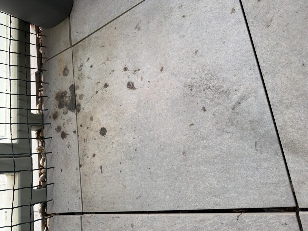 Review image for review d67c465a-921f-4457-8593-18df6ae5ab62