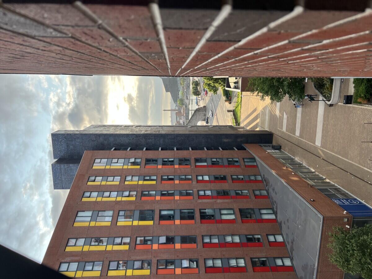 Review image for review a4e13d58-a391-498e-b981-fa61dd87d203