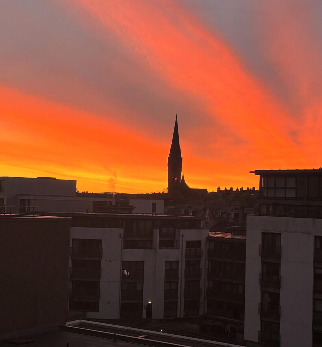 Review image for review c965235a-2dc1-42e3-99d6-55fc9eeb8161