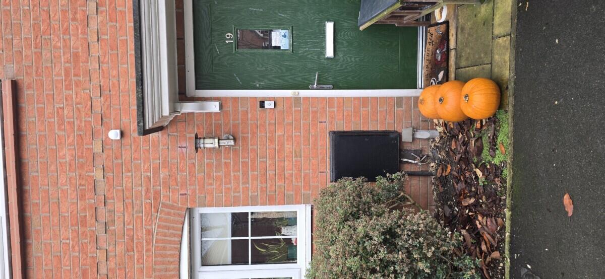 Review image for review bd078b7e-6ed4-4704-88ad-fd20a68dfcf4