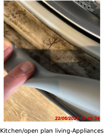 Review image for review dd7dcd69-ae40-4bc7-ada1-b828d170def7