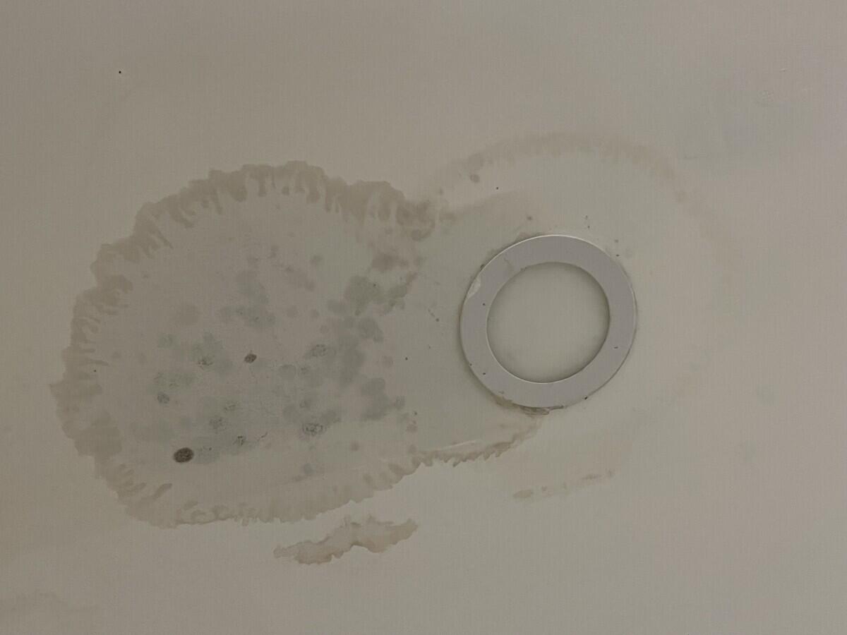 Review image for review 55873b74-432c-4c2d-bf04-f77533f46d60