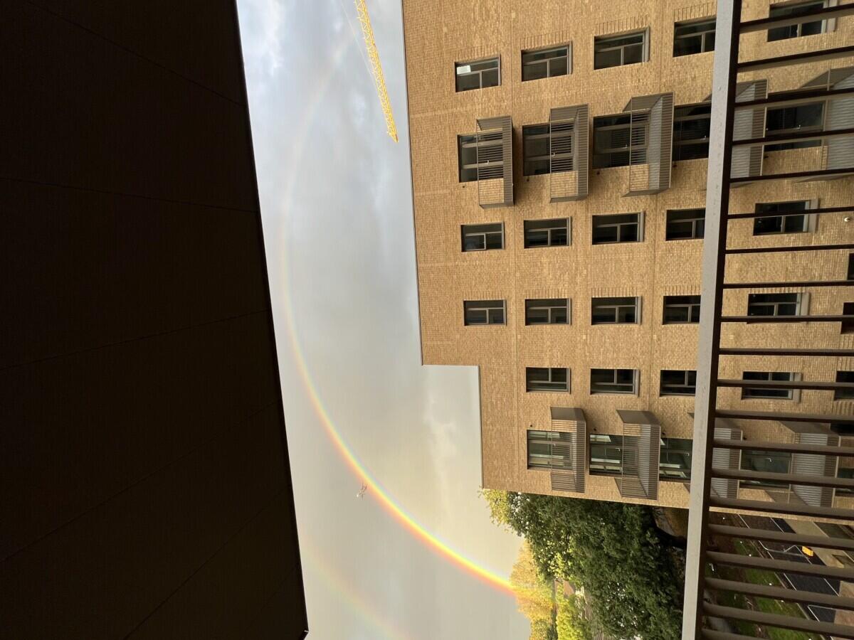 Review image for review 90fd0ec4-e609-4c13-9465-4d8749bda56c