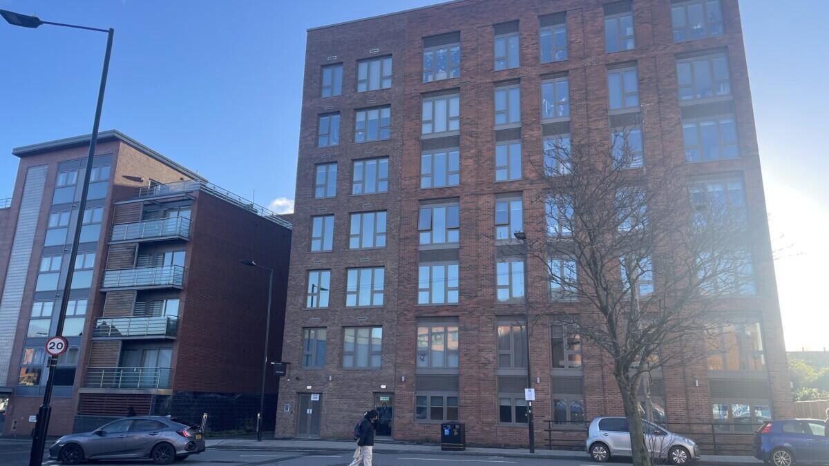 Review image for review 1c91a3af-65d7-4416-ad55-6eaee27f44ed