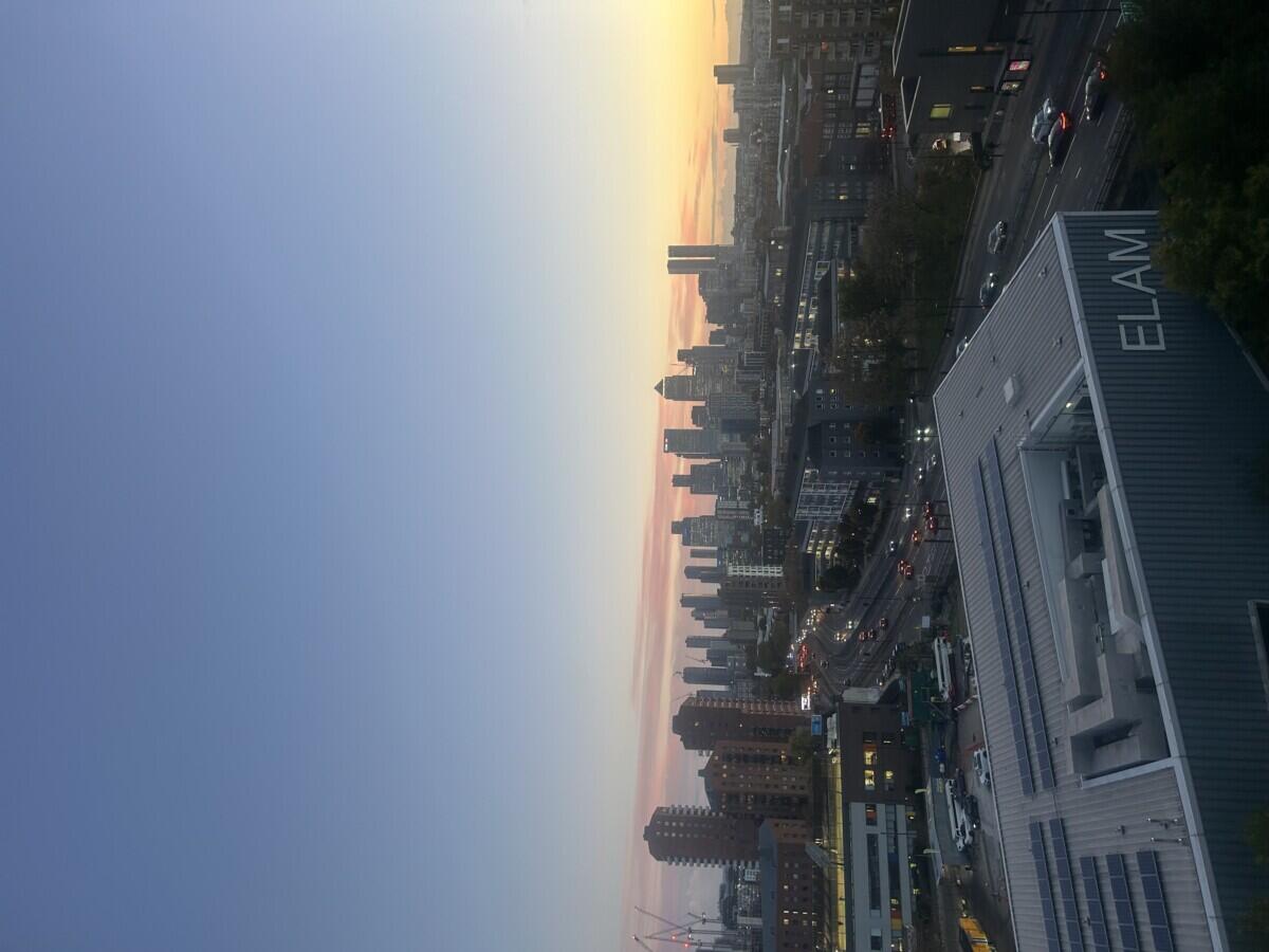 Review image for review 1252d3f1-78d2-4a9e-b87b-8d447f05c164