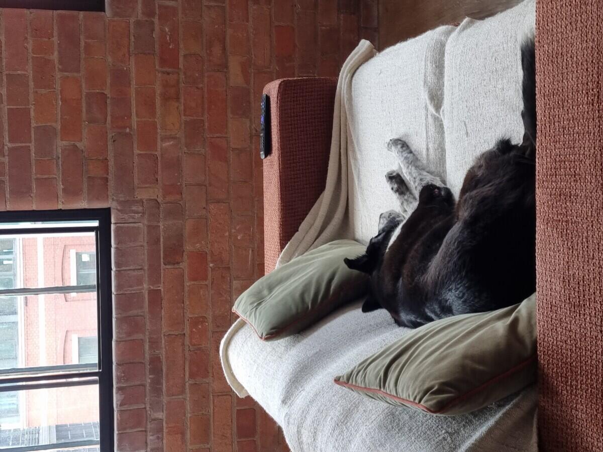 Review image for review d2fdea3e-1eed-4593-8431-fc2f116e8396