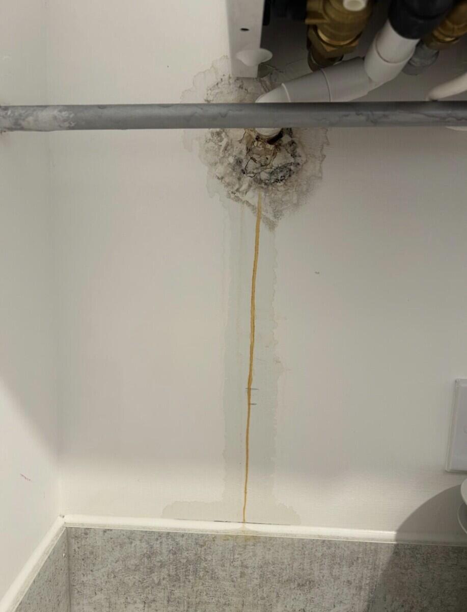 Review image for review f9c5b04a-8c73-43f0-b1d3-26693af3afcd