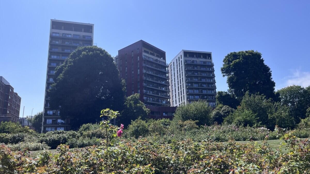 Review image for review 90719276-7d31-4f84-a1ff-6520e9a963f3