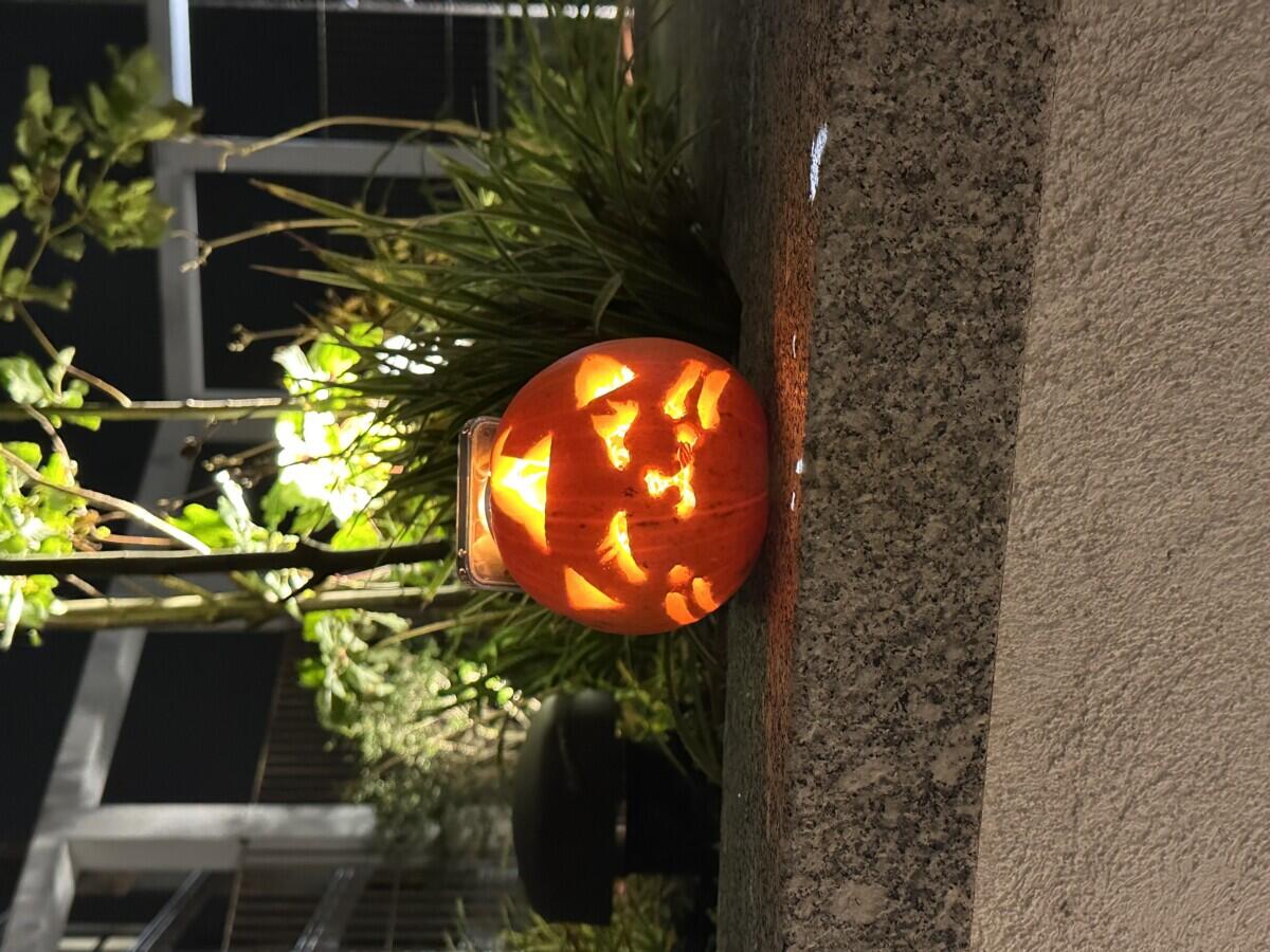 Review image for review a973ca15-9ba1-4717-ba35-8bc78553cb12