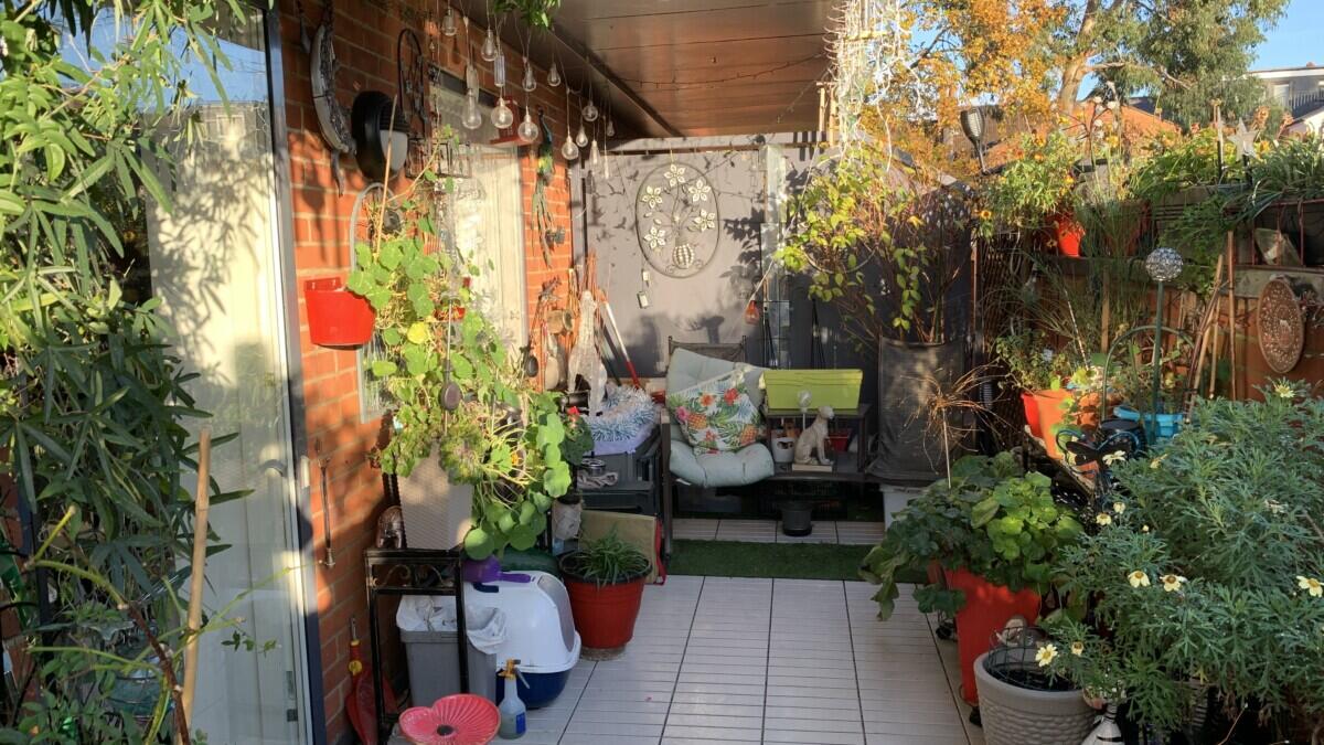 Review image for review 5d46c6d1-c74c-4e08-a0a9-2ef6ddc1d170