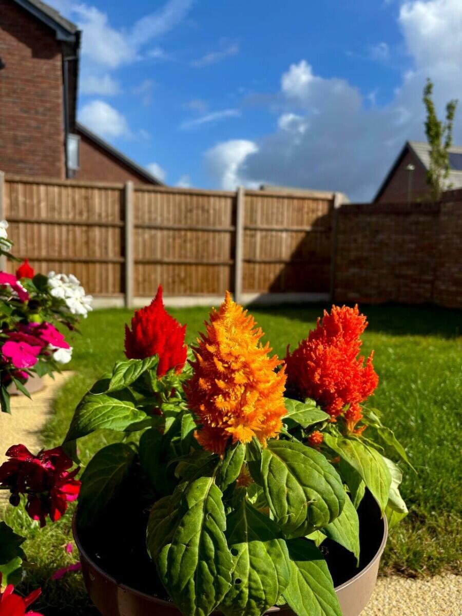 Review image for review 9304e489-ff55-4cf8-8bff-1e3cc4c54069