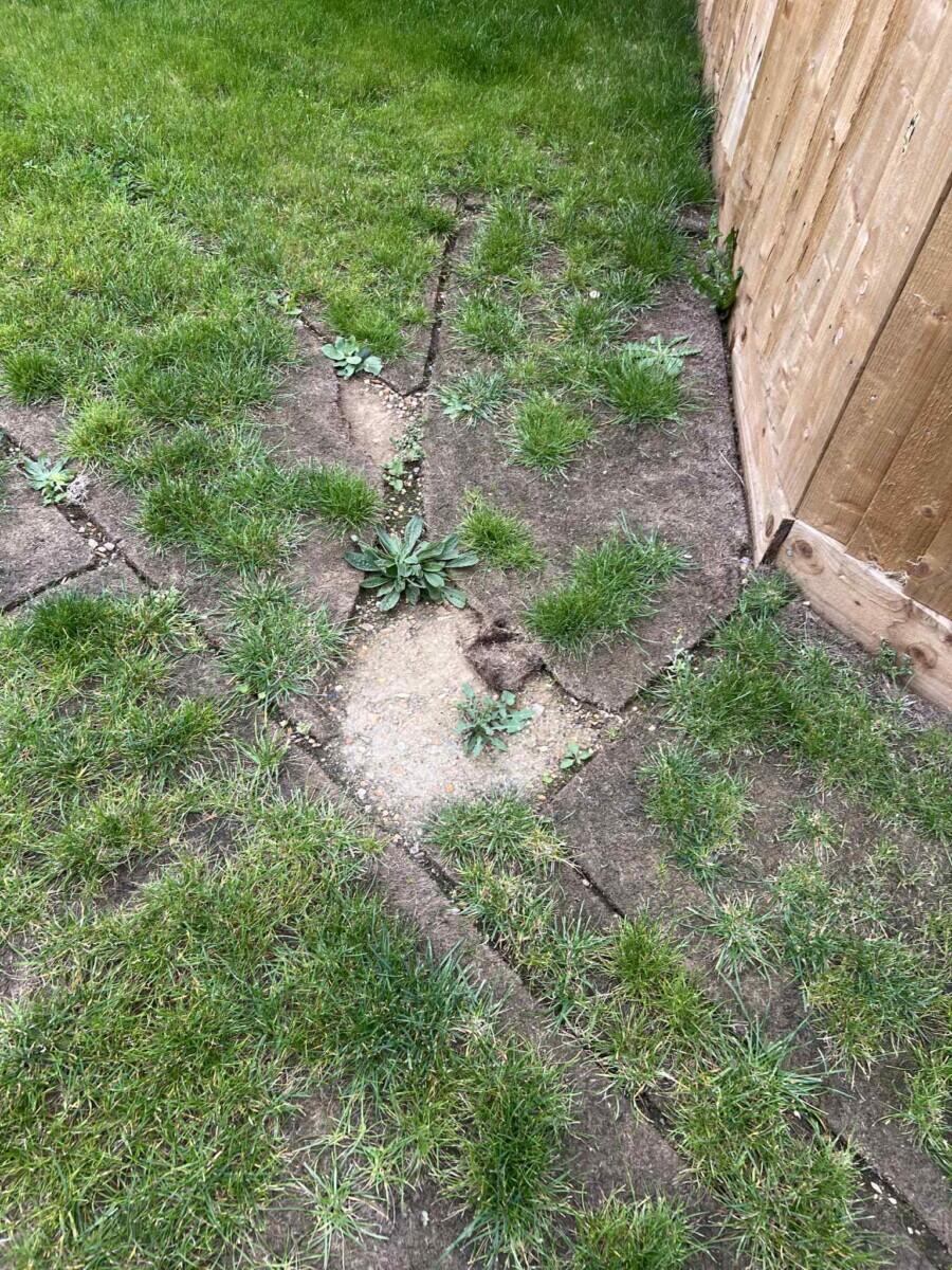 Review image for review 86ddb40a-4547-406b-bebd-b49ca4d43e01