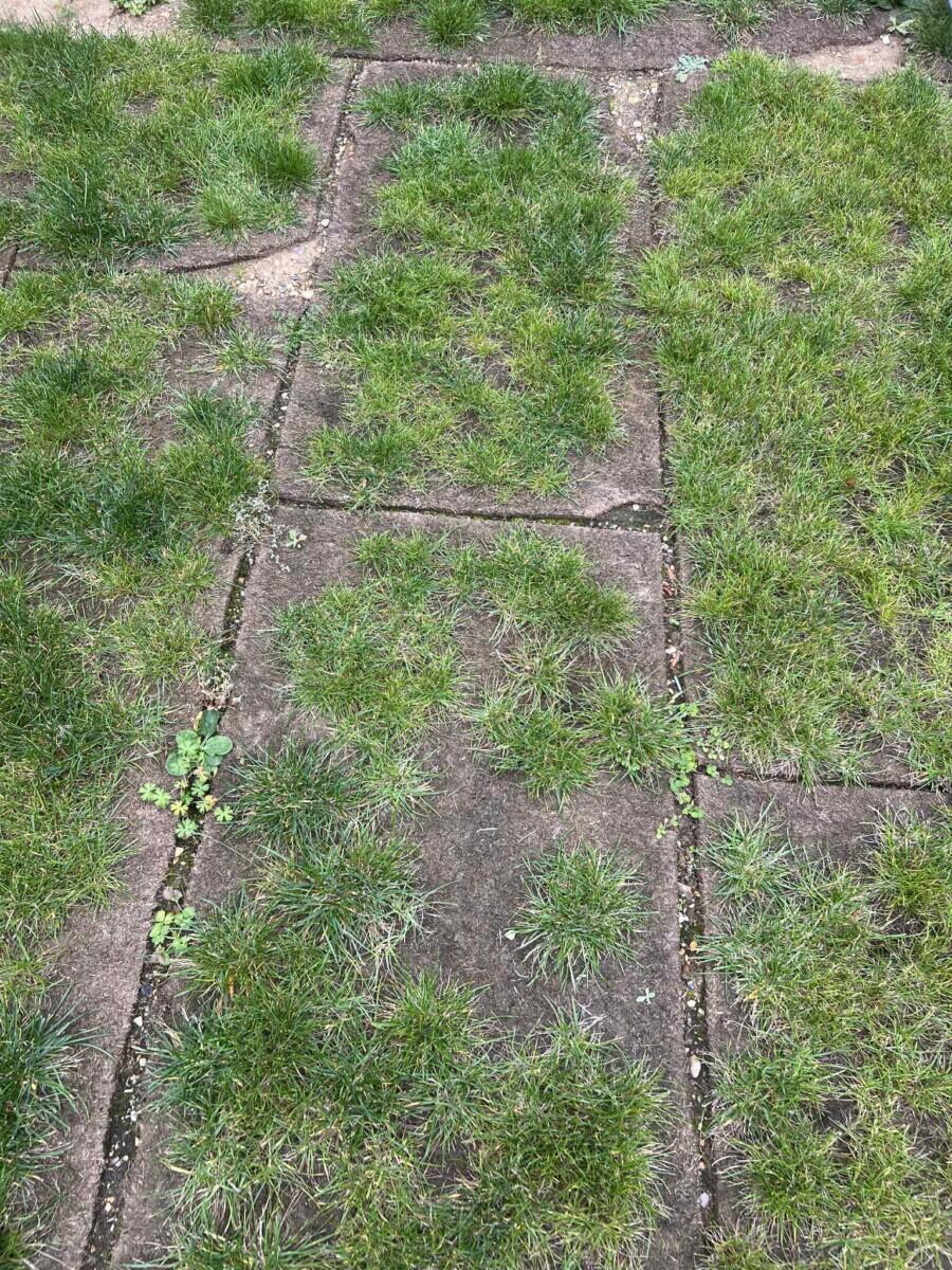 Review image for review 86ddb40a-4547-406b-bebd-b49ca4d43e01