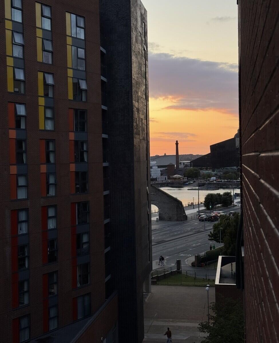 Review image for review a4e13d58-a391-498e-b981-fa61dd87d203