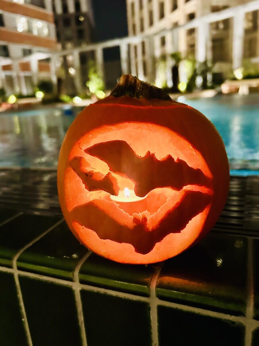 Review image for review 01a9882a-0bfd-42c7-b61e-ff9f164f4e89