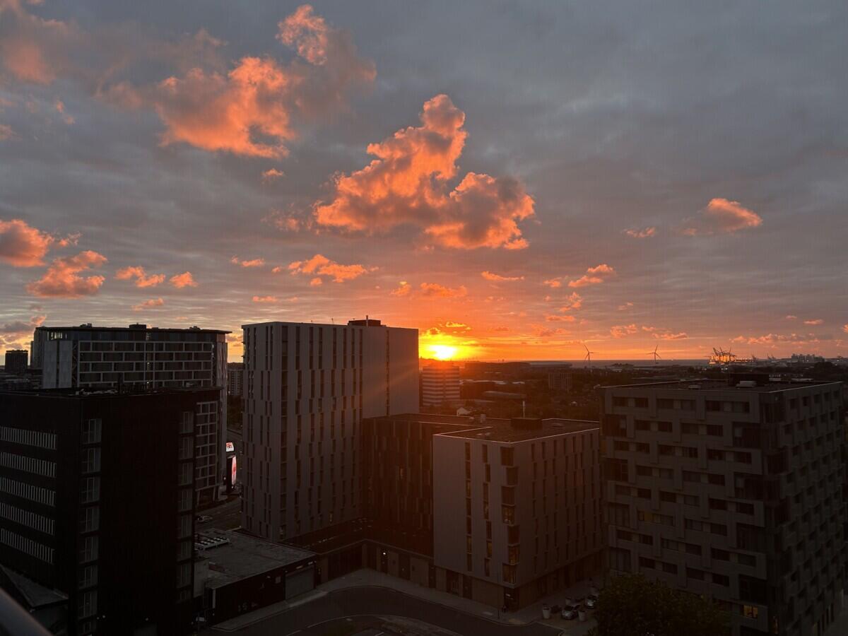 Review image for review f042f6a3-a30b-482f-8bab-37d9f1d4a5d5