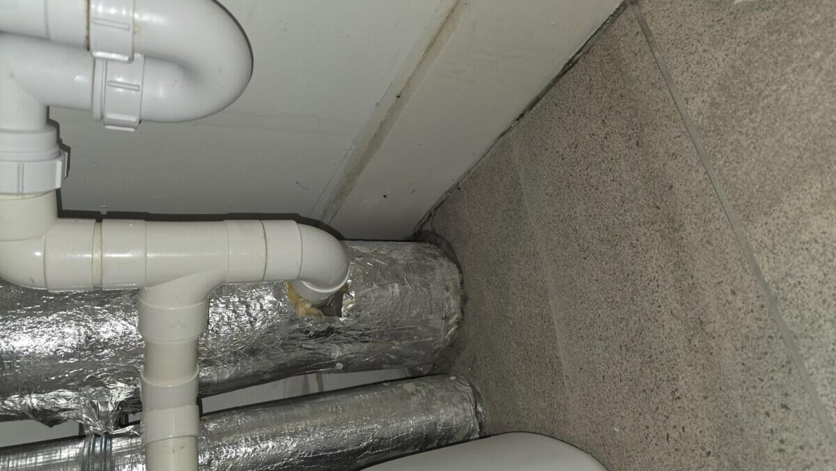 Review image for review 333e0c79-09af-4062-80cf-8897f3d9a96c