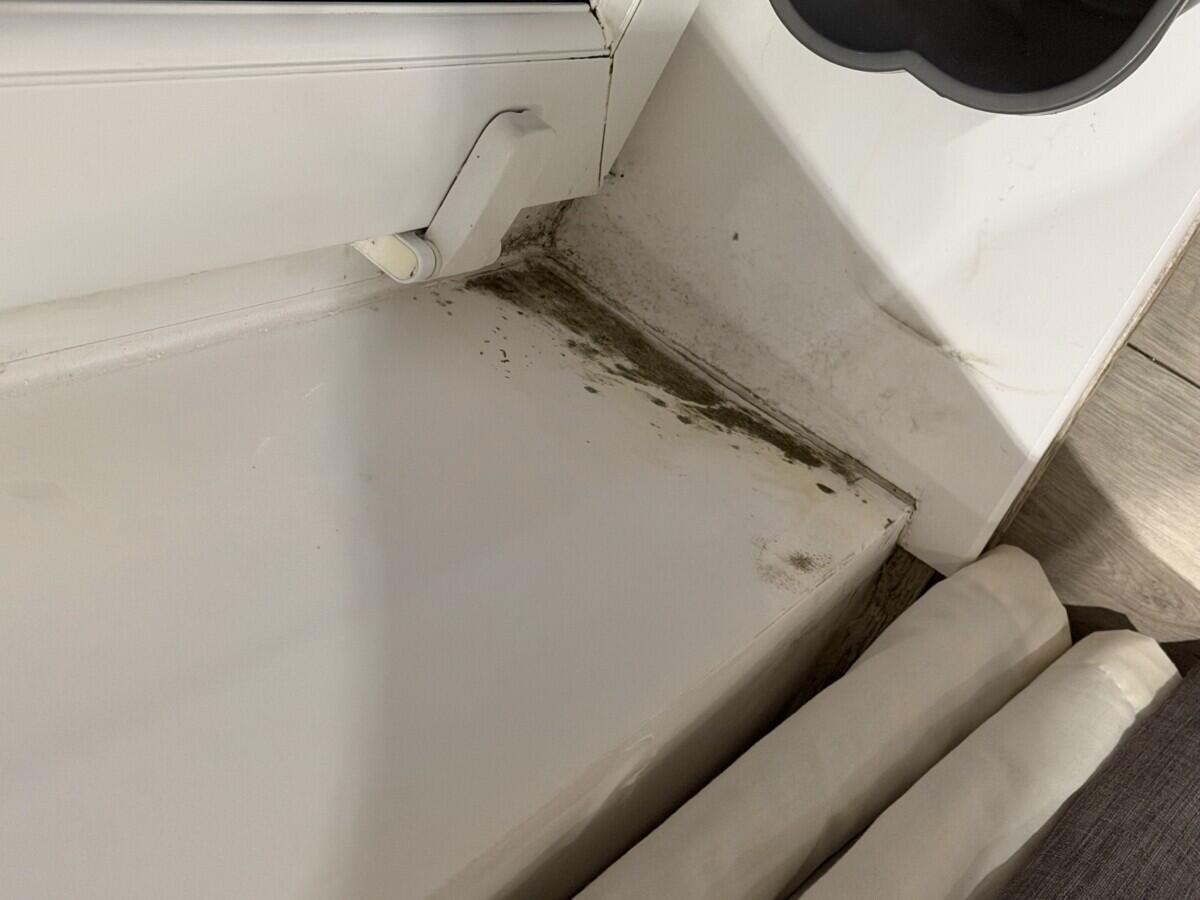 Review image for review 8bb25736-f366-4160-9c51-1ab600e7fe60