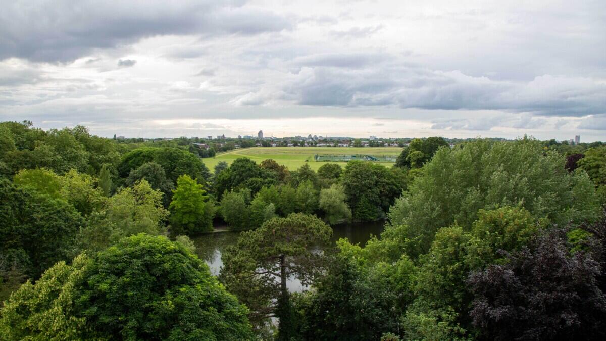 Review image for review fc288652-3f3b-4edb-90ae-102bd87f9ba9