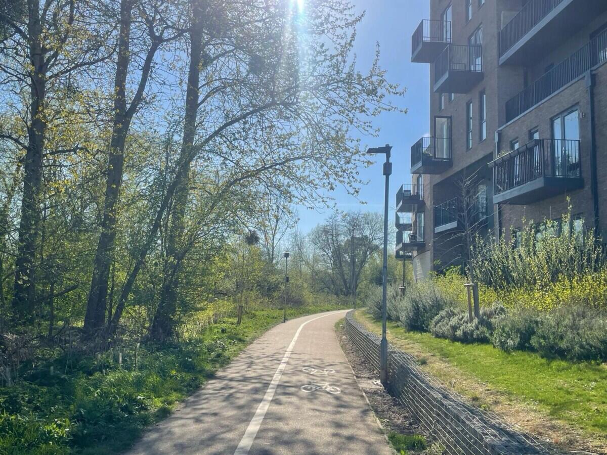 Review image for review 9515c8f7-bdb3-4fac-b20c-74cab7bb98a5