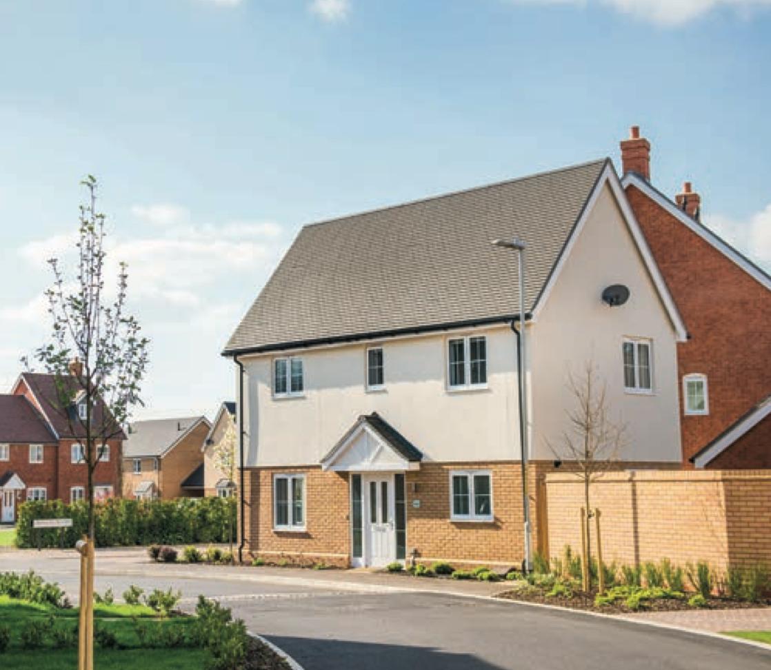 Development image of Solomon's Seal, RH12