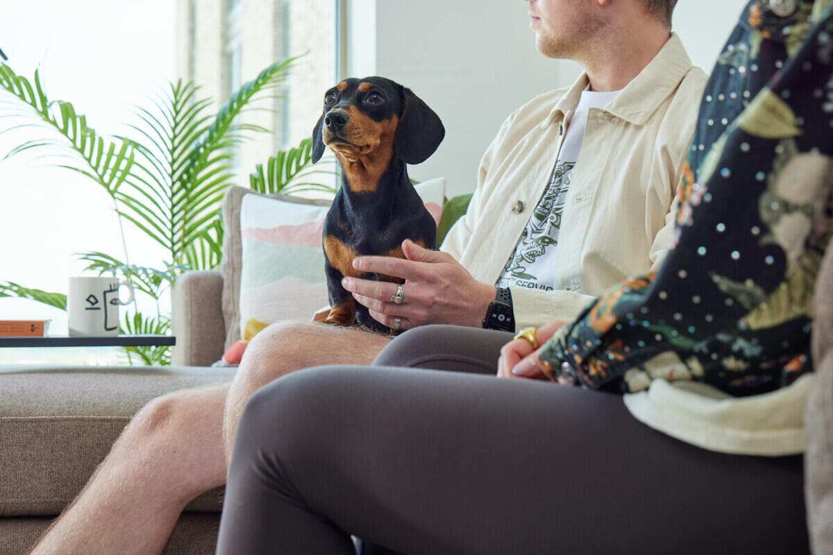 Development image of Eda, M50