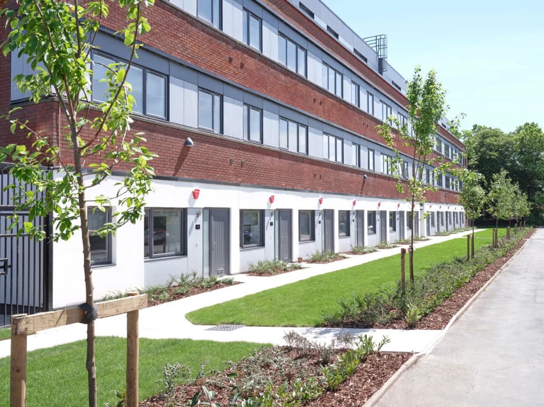 Development image of Elevate, M13