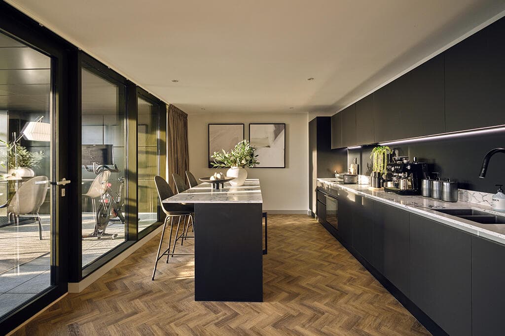 Development image of TURA, LS1