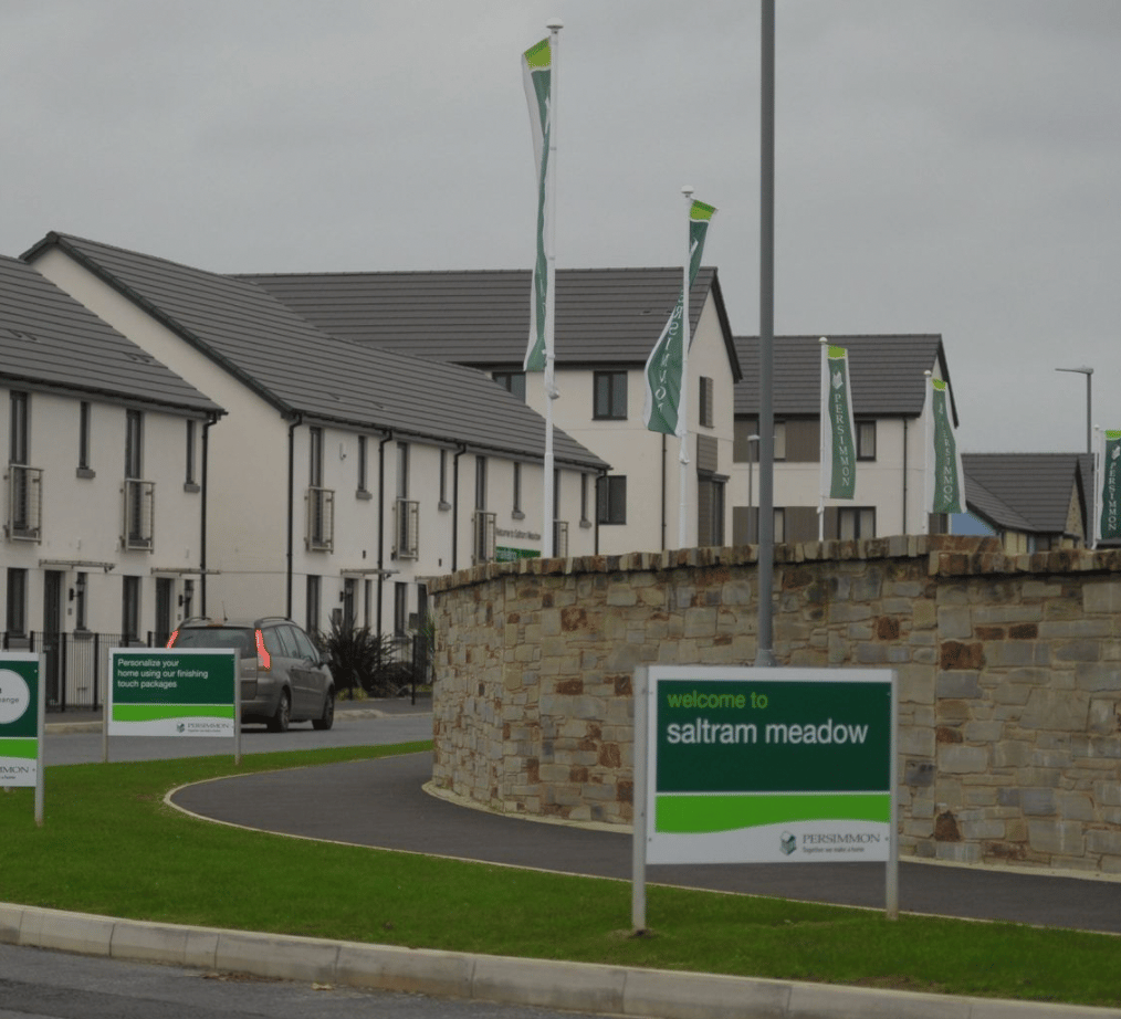 Development image of Saltram Meadow, PL9