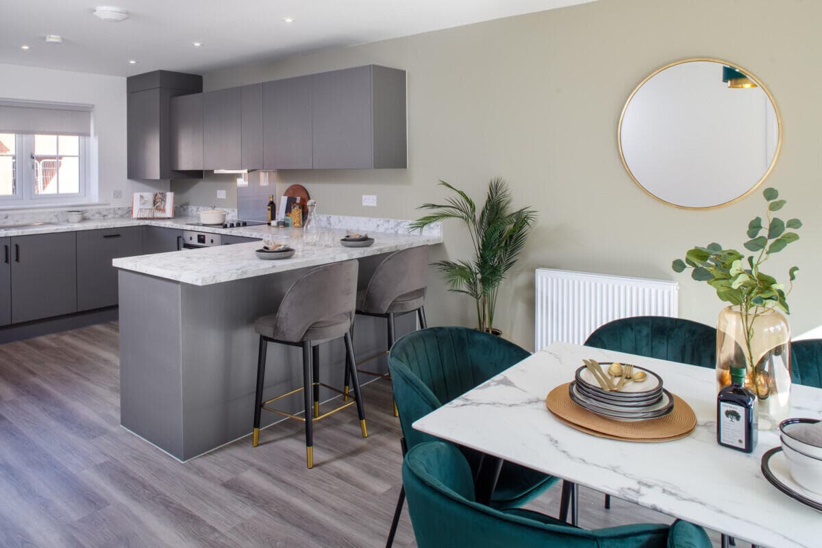 Development image of Placefirst at The Paddocks, CM77